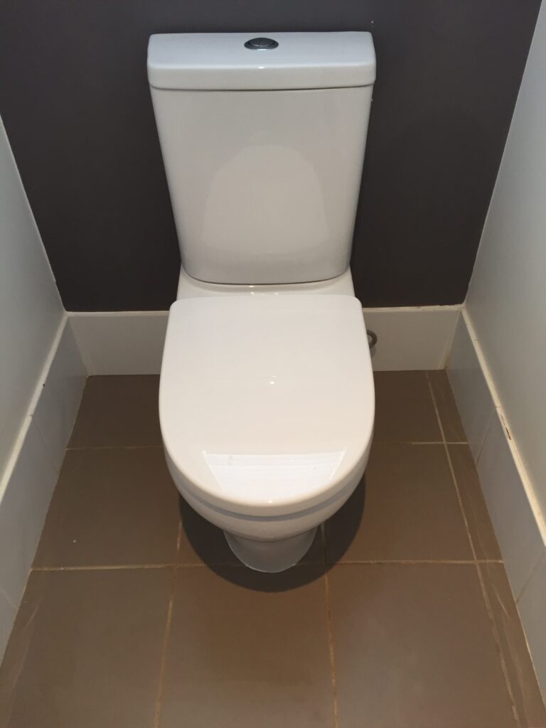 toilet suite in a small cubicle